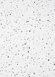 Meet your Posher, Layni5032